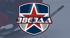 В Туле завершились сборы следж-хоккейной команды "Звезда"