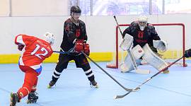 В Туле состоялся товарищеский турнир по хоккею на роликах с участием Сборной России
