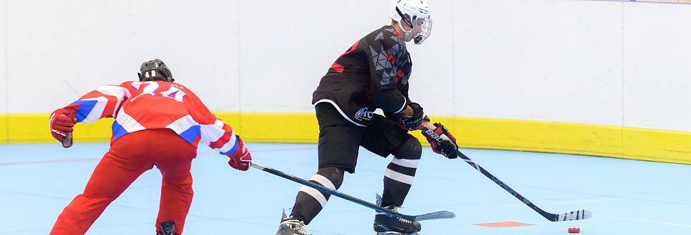 В Туле состоялся товарищеский турнир по хоккею на роликах с участием Сборной России
