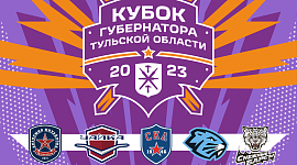 Кубок Губернатора Тульской области по хоккею в этом году будет международный