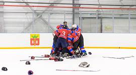 Завершились игры регионального этапа "Золотой шайбы" среди команд 2009-2010 г.р.